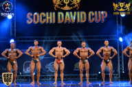 Sochi David Cup - 2017