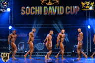Sochi David Cup - 2017