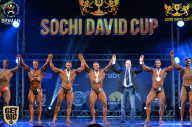 Sochi David Cup - 2017