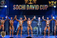 Sochi David Cup - 2017