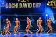 Sochi David Cup - 2017