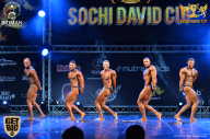 Sochi David Cup - 2017