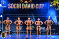 Sochi David Cup - 2017