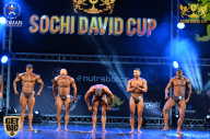 Sochi David Cup - 2017