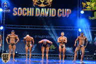 Sochi David Cup - 2017