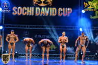 Sochi David Cup - 2017