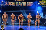 Sochi David Cup - 2017