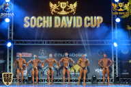 Sochi David Cup - 2017