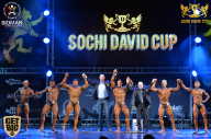 Sochi David Cup - 2017