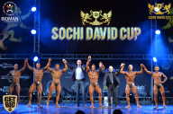 Sochi David Cup - 2017