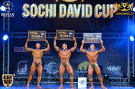 Sochi David Cup - 2017