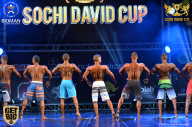 Sochi David Cup - 2017