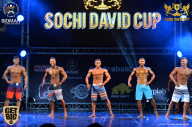 Sochi David Cup - 2017