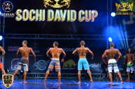 Sochi David Cup - 2017