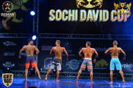 Sochi David Cup - 2017