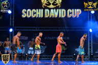 Sochi David Cup - 2017