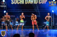 Sochi David Cup - 2017