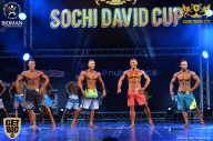 Sochi David Cup - 2017