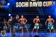 Sochi David Cup - 2017