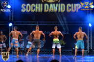 Sochi David Cup - 2017