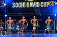 Sochi David Cup - 2017