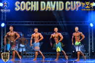 Sochi David Cup - 2017