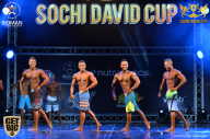 Sochi David Cup - 2017