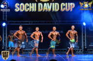 Sochi David Cup - 2017