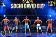 Sochi David Cup - 2017