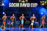 Sochi David Cup - 2017