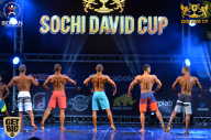 Sochi David Cup - 2017