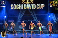 Sochi David Cup - 2017