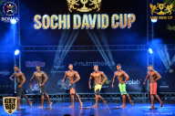 Sochi David Cup - 2017