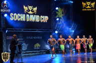 Sochi David Cup - 2017