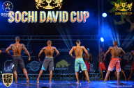 Sochi David Cup - 2017