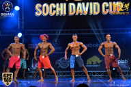 Sochi David Cup - 2017