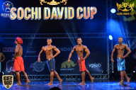 Sochi David Cup - 2017