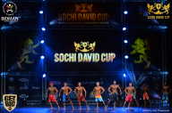 Sochi David Cup - 2017