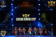 Sochi David Cup - 2017