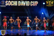 Sochi David Cup - 2017