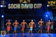 Sochi David Cup - 2017