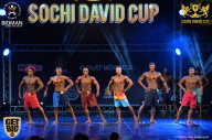 Sochi David Cup - 2017