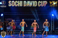 Sochi David Cup - 2017