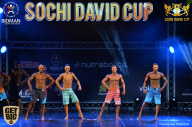 Sochi David Cup - 2017