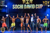 Sochi David Cup - 2017