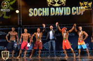 Sochi David Cup - 2017