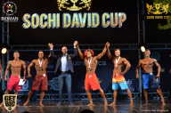 Sochi David Cup - 2017