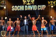 Sochi David Cup - 2017