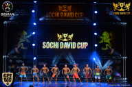 Sochi David Cup - 2017