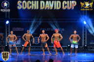 Sochi David Cup - 2017